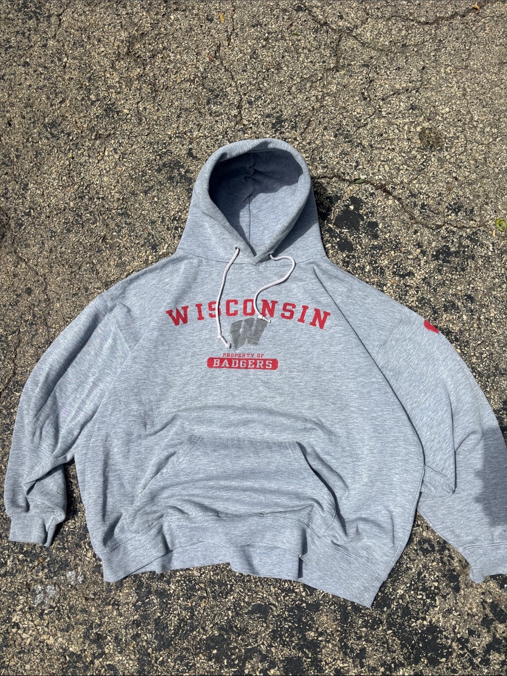 Vintage 90s Wisconsin Badgers Mens 2XL Heather Gray Embroidered College Hoodie